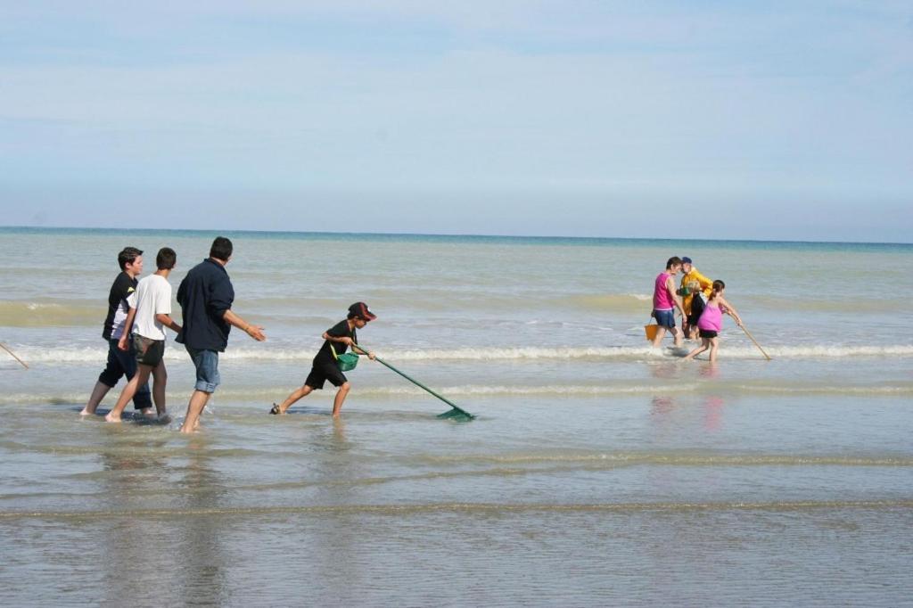 "Le Juguili" 46M2 En Front De Mer - 4 Personnes - Animaux Ok - Entierement Renove - Haut De Gamme - Wifi Mers-les-Bains Luaran gambar