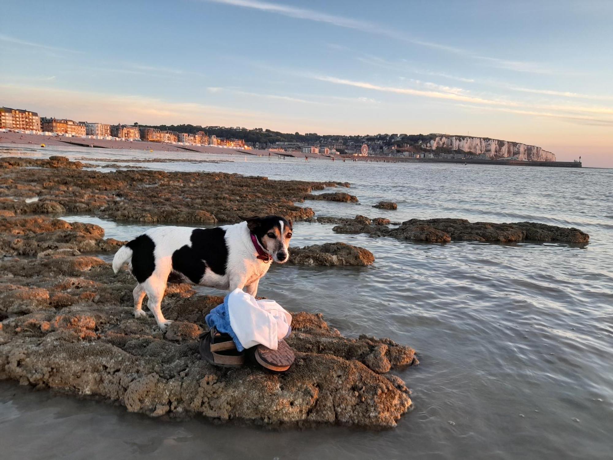 "Le Juguili" 46M2 En Front De Mer - 4 Personnes - Animaux Ok - Entierement Renove - Haut De Gamme - Wifi Mers-les-Bains Luaran gambar