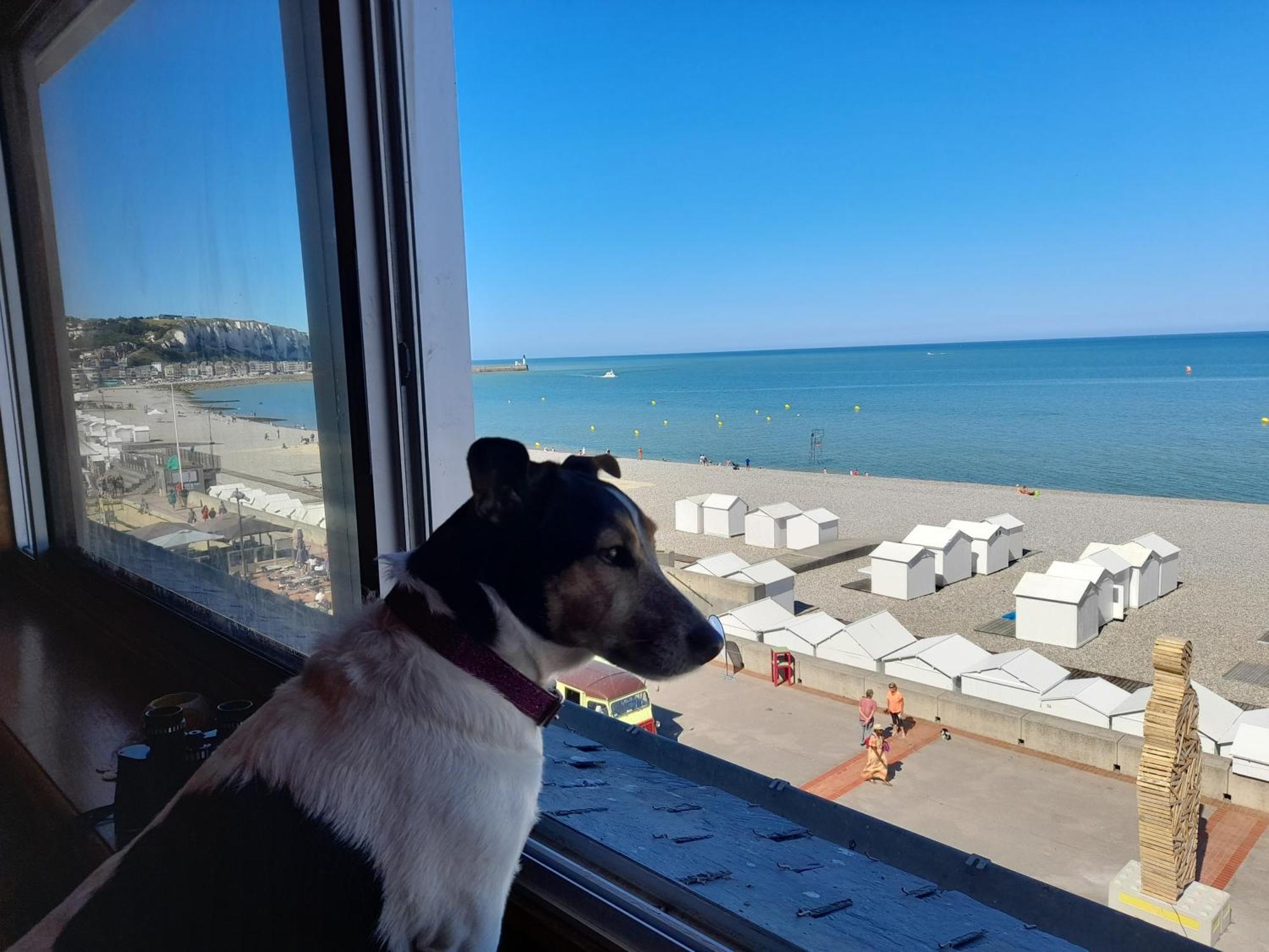 "Le Juguili" 46M2 En Front De Mer - 4 Personnes - Animaux Ok - Entierement Renove - Haut De Gamme - Wifi Mers-les-Bains Luaran gambar